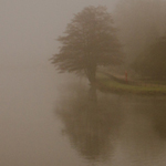 Misty Lake, Nottingham